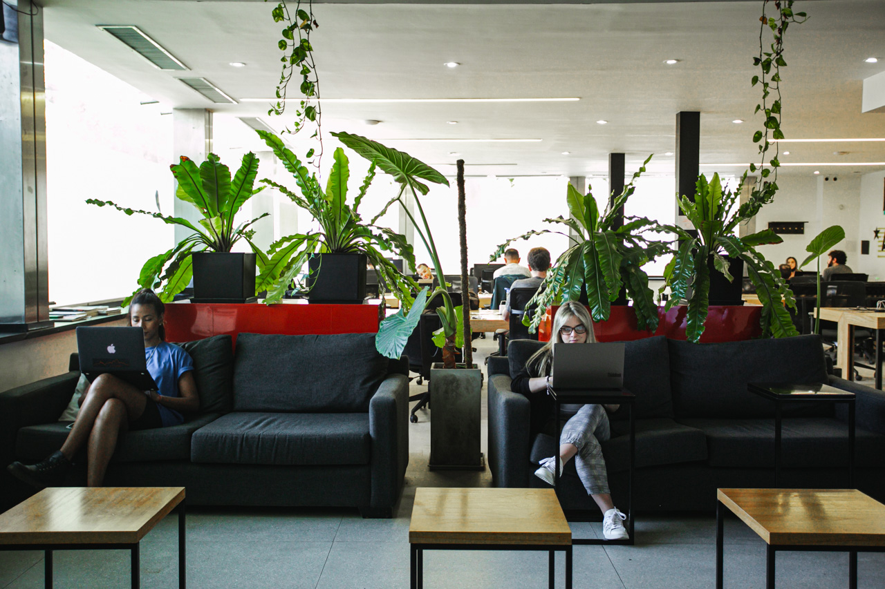 Working&Co El Salvador - Palermo Hollywood