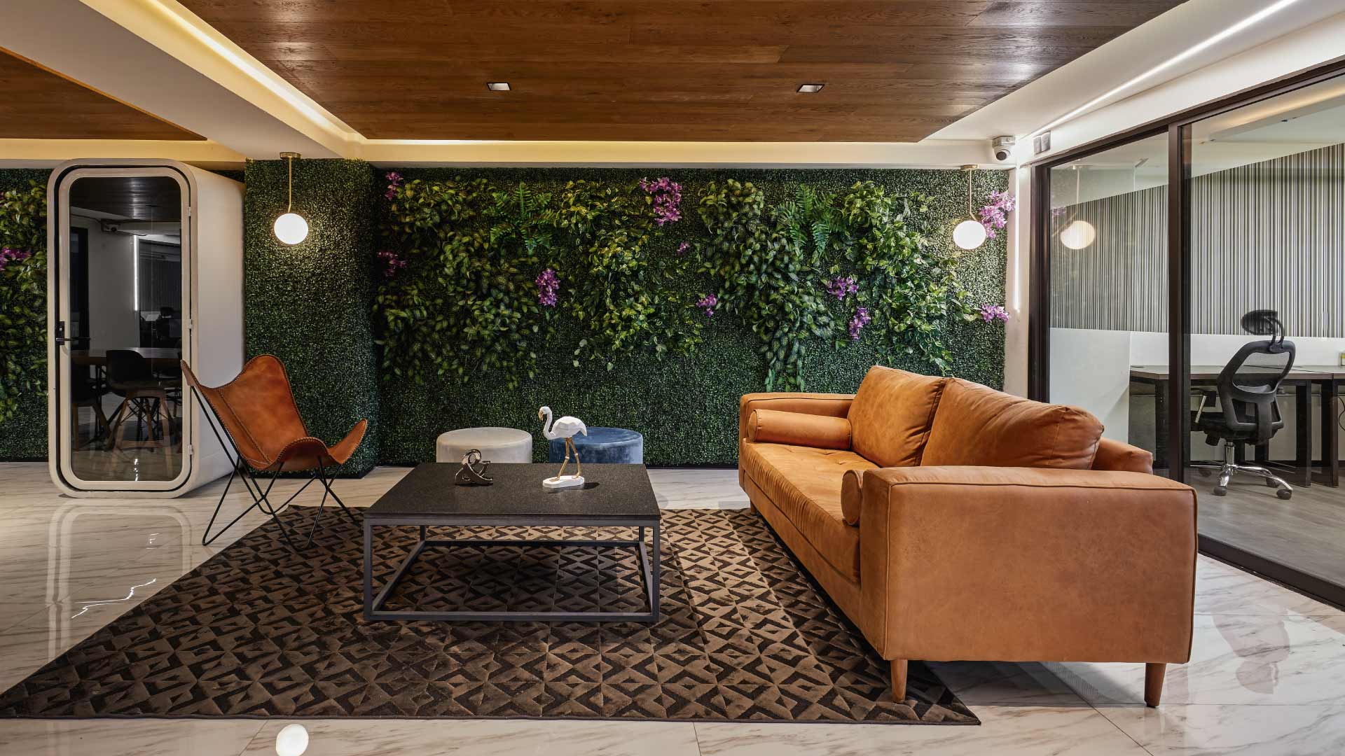 Colony Spaces Colima