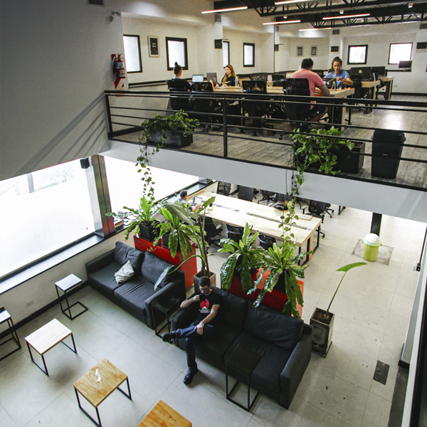 Working&Co El Salvador - Palermo Hollywood