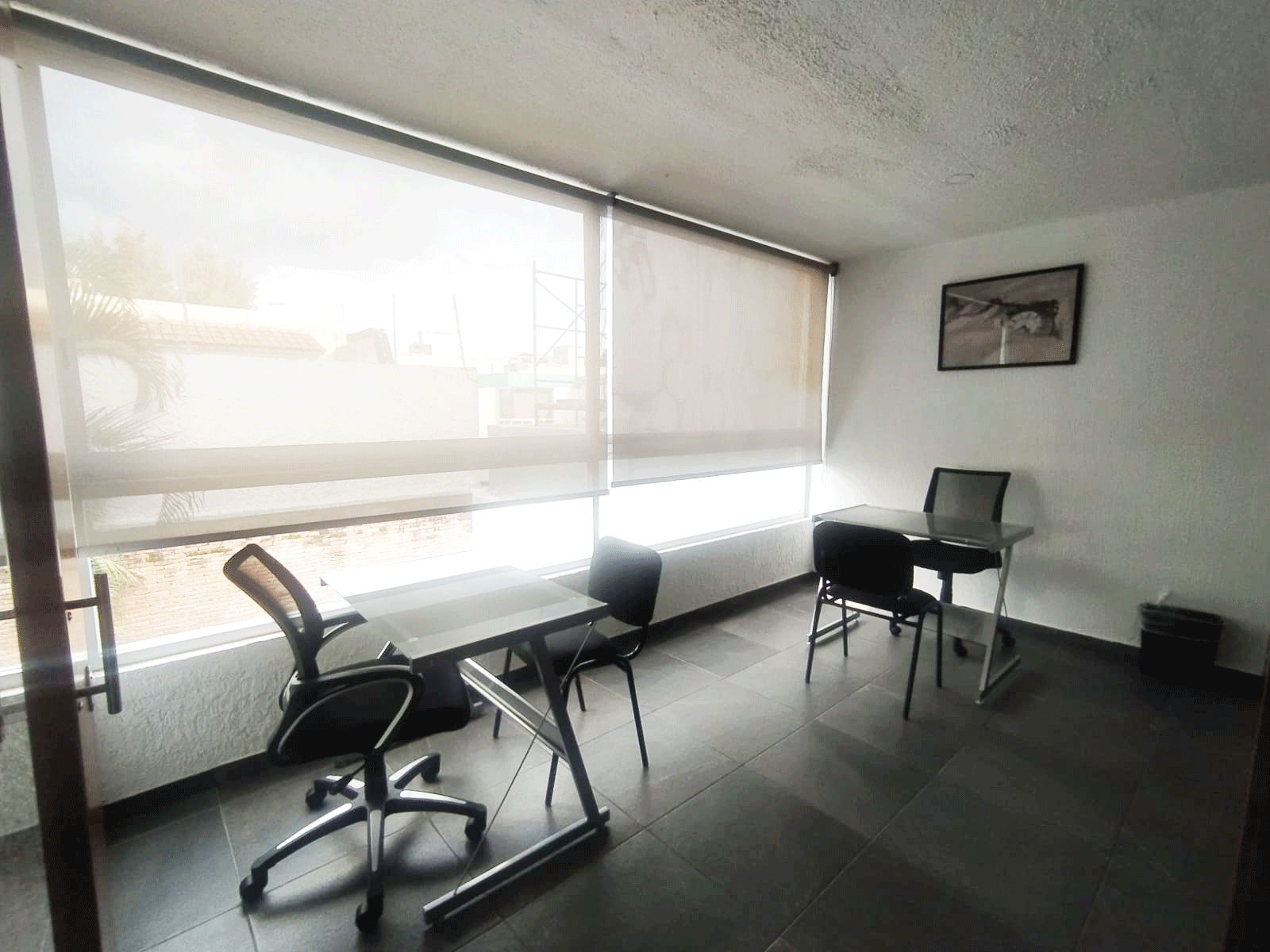 Lanister Centro de Negocios - La Calma