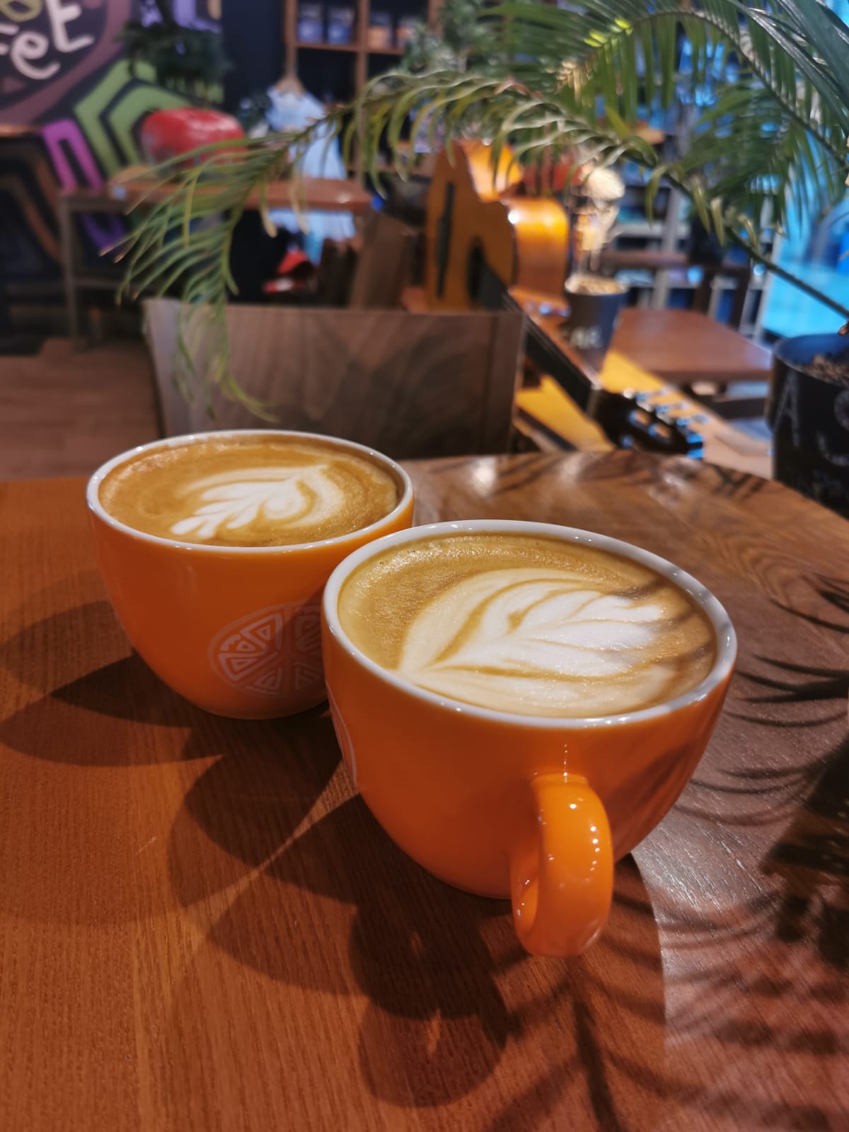 Tucano Coffee Madagascar